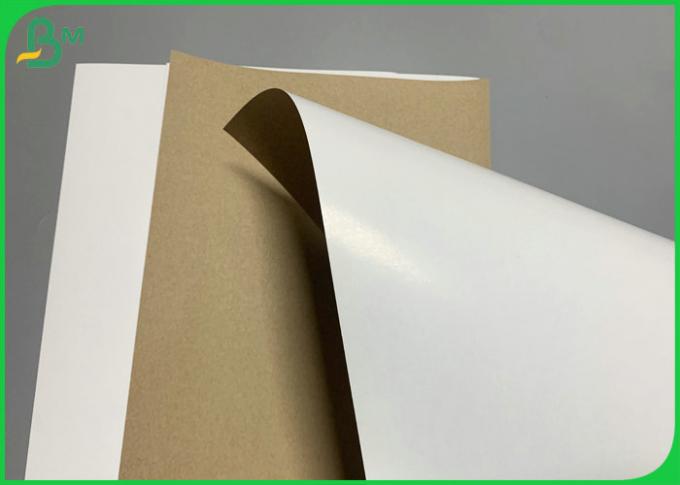 350gsm τροφίμων βαθμού άσπρο ντυμένο χαρτί κιβωτίων τροφίμων ξύλινου πολτού χαρτιού της Kraft πίσω