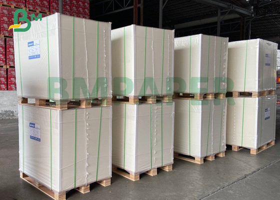 Χωρίς επίστρωση Woodfree χαρτί όφσετ ξύλινου πολτού χαρτιού 80gsm 100gsm καθαρό