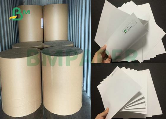 80# 100# 120# 2 Sides Coated Silk Text Paper for Brochure Printing 70 x 100cm