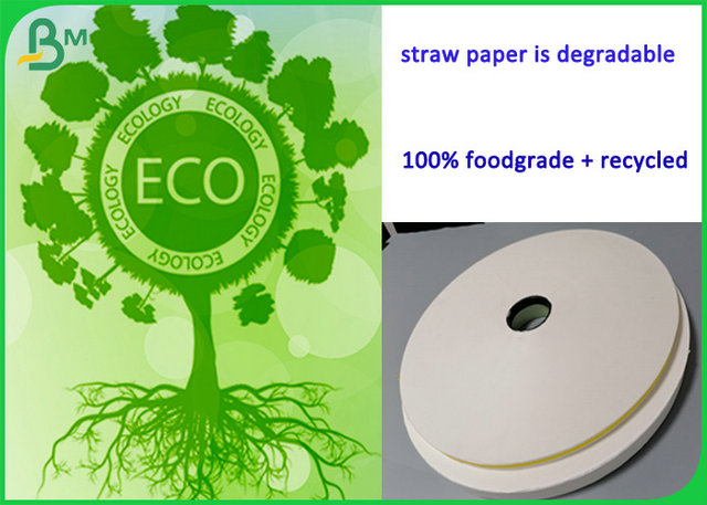 ανακυκλώσιμο έγγραφο Slitted ρόλων 60Gr 120Gr για την παραγωγή των αχύρων εγγράφου βαθμού τροφίμων