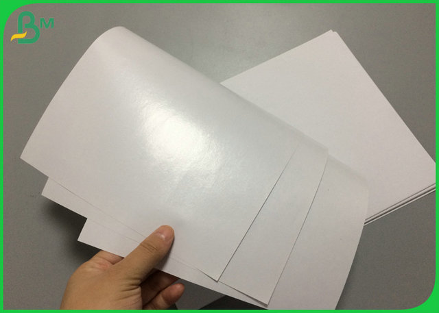 το PE 80gr 100gr έντυσε το λίπος της Λευκής Βίβλου ανθεκτικό για τις τσάντες εγγράφου εστιατορίων