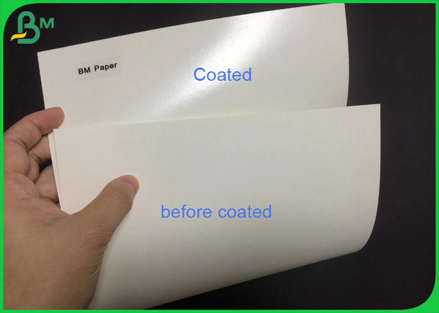  Ντυμένο πολυαιθυλένιο πινάκων εγγράφου βάσεων φλυτζανιών ECO 210 230 Grammages για το φλυτζάνι εγγράφου