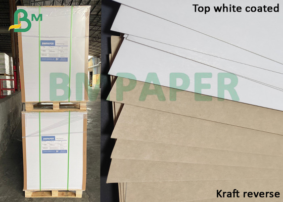 Πρόσθετο ομαλό 250gsm έντυσε το λευκό - τοπ πίνακας εγγράφου σκαφών της γραμμής KLB Kraft