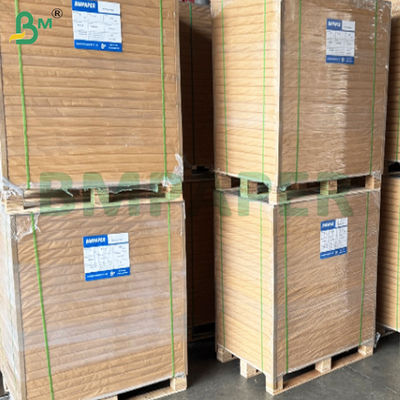 240gm+10gm Μία πλευρά PE επικαλυμμένα διαρροή-απορρόφητο Cup Stock φύλλα χαρτιού