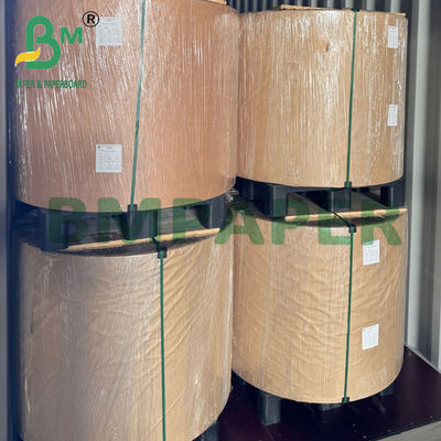 260/275γρ Ασφαλές για φούρνο μικροκυμάτων Χαρτί Kraft PE 2 όψεων για κουτί γεύματος