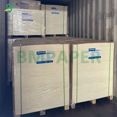 240gm + 20gm βιοδιασπώμενο PLA επικαλυμμένο χαρτί βάσης φλιτζάνης σε κυλίνδρους