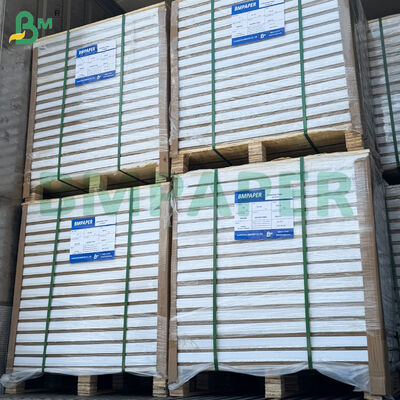 210gm/230gm 31*43 ίντσες Δύο πλευρικά επικαλυμμένα γυαλιστερά κυλίνδρια χαρτιού τέχνης