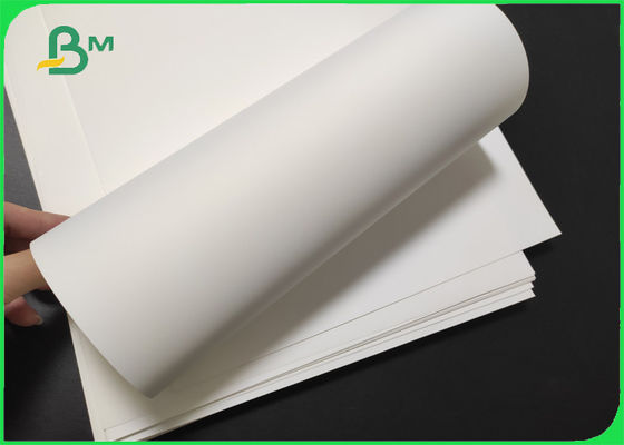 Άσπρο υλικό έγγραφο 100 μεταλλινών πολυεστέρα απόδειξης δακρυ'ων - πάχος 500um