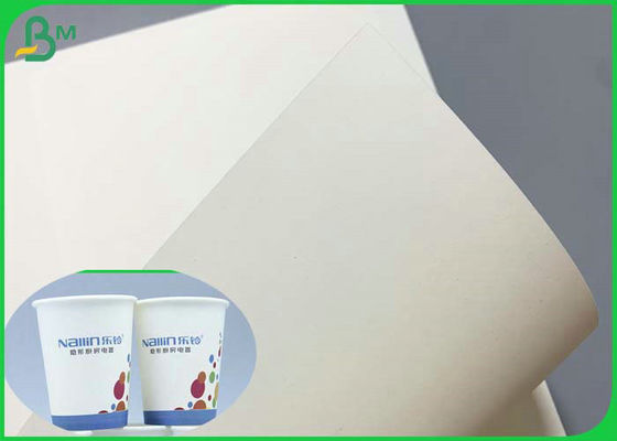 SGS πιστοποιημένο 230g 260g ντυμένο PE Cupstock έγγραφο 850mm βάσεων ρόλος