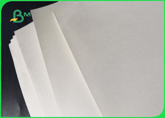 Βιοδιασπάσιμο τοποθετημένο σε στρώματα PE έγγραφο, ντυμένο έγγραφο 160GSM 10GSM πολυαιθυλενίου