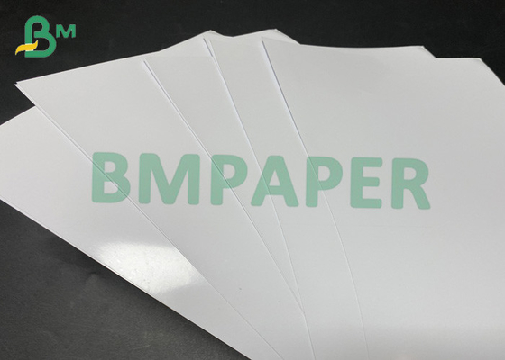 230gsm 432mm υψηλοί άσπροι στιλπνοί ρόλοι εγγράφου φωτογραφιών για την εκτύπωση Inkjet