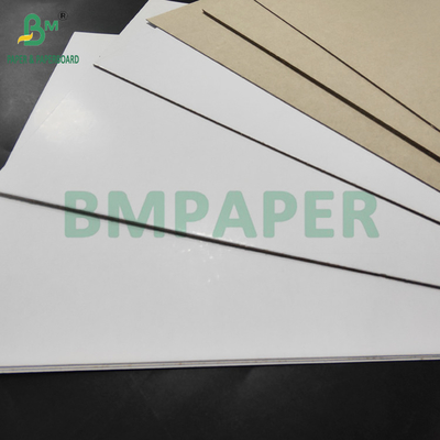 450 γραμμάρια 500 γραμμάρια C1S Duplex Board Grey Back για οδοντόκρεμα Box 800 x1000 mm