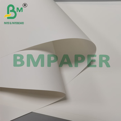250um 260mm Ανθεκτικό στη θερμότητα συνθετικό χαρτί φυλλαδίου