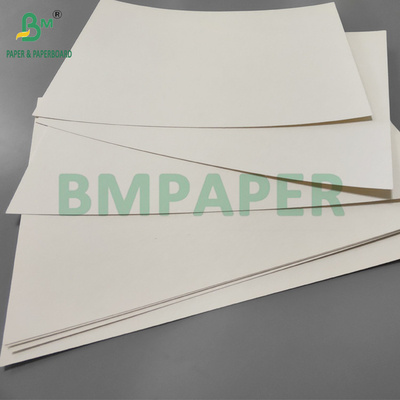 190gm + 15g PE P1S Cup Paper Gloss Για Καφετέρια Αδιάβροχο 720mm 880mm