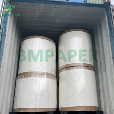 190gm + 15g PE P1S Cup Paper Gloss Για Καφετέρια Αδιάβροχο 720mm 880mm