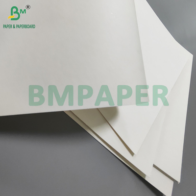190gm + 15g PE P1S Cup Paper Gloss Για Καφετέρια Αδιάβροχο 720mm 880mm