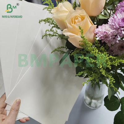 190gm 320gm+15gPE Κατόπιν επικάλυψης Τροφίμων Χάρτινο Κύπελλο Καφέ