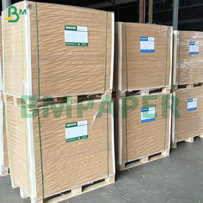 320 GSM Brown Cup φύλλα χαρτιού με 20 GSM PE επικαλυμμένα