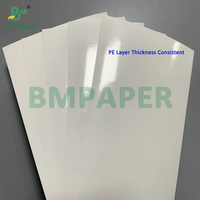 260gm + 15gm PE επικαλυμμένο SBS χαρτόνι για κατεψυγμένες γαρίδες