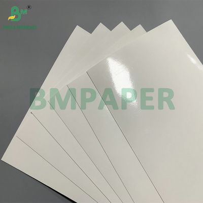 260gm + 15gm PE επικαλυμμένο SBS χαρτόνι για κατεψυγμένες γαρίδες