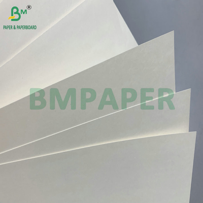 C1S PE επιφάνεια 210gm 230gm Cup Paper για ποτά Cup Jumbo Roll