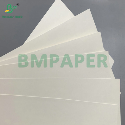 C1S PE επιφάνεια 210gm 230gm Cup Paper για ποτά Cup Jumbo Roll