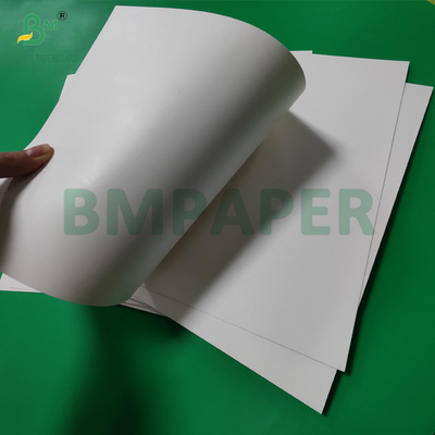 300gm + 15g PE επικαλυμμένο χαρτί Cup Stock Board για ζεστά ποτά 820mm 880mm