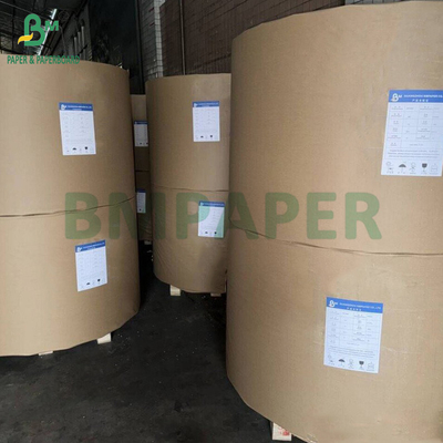 300gm + 15g PE επικαλυμμένο χαρτί Cup Stock Board για ζεστά ποτά 820mm 880mm