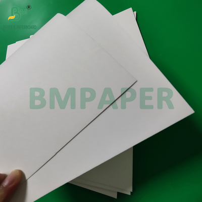 300gm + 15g PE επικαλυμμένο χαρτί Cup Stock Board για ζεστά ποτά 820mm 880mm
