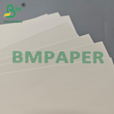 210gm Τυπωτό PLA επικαλυμμένο Kraft Cupstock Paper Roll για τσάι
