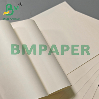 230gm 15g PE Ανακυκλώσιμο Καλό Σκληρότητα Cup Stock Cardboard Για ζεστά ποτά
