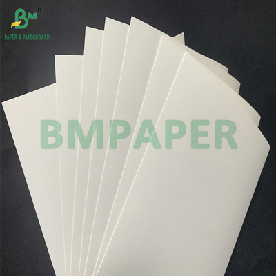 15g PE επικαλυμμένο αδιάβροχο 210gm 230gm Cup Stock Paper High Folding