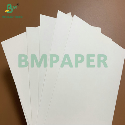 15g PE επικαλυμμένο αδιάβροχο 210gm 230gm Cup Stock Paper High Folding