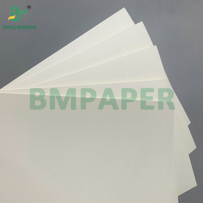 18g PE επικαλυμμένο αδιάβροχο 210gm Cup Stock Paper για την παρασκευή φλιτζανιών καφέ