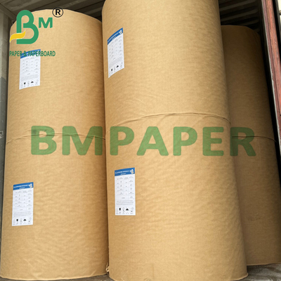 230gm + 15g Λευκασμένο PE επικαλυμμένο χαρτί Kraft Roll για χαρτί Cupstock