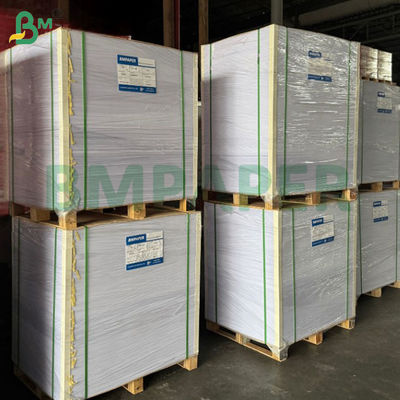 300 γραμμάρια Σούπερ Λευκό Πίνακα Μπρίστολ Χωρίς επίστρωση Γλύκες Επιφάνειες Χωρίς Οξύ 19 X 24"