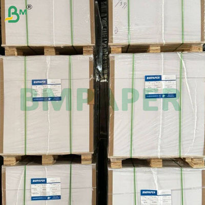 Χαρτί Κυπέλλων με επίστρωση PE ανθεκτικό στη θερμότητα 200gsm+10gsm