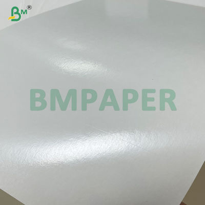 240gm + 20gm βιοδιασπώμενο PLA επικαλυμμένο χαρτί βάσης φλιτζάνης σε κυλίνδρους