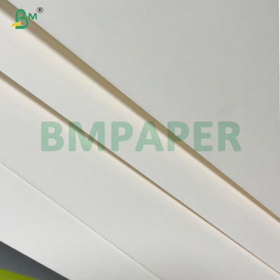 240gm + 20gm βιοδιασπώμενο PLA επικαλυμμένο χαρτί βάσης φλιτζάνης σε κυλίνδρους