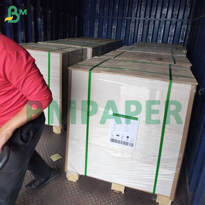 Χαρτόνι σουβέρ χωρίς επίστρωση 390gsm 455 X 650mm Για σουβέρ τραπεζιού, βάσεις κέικ