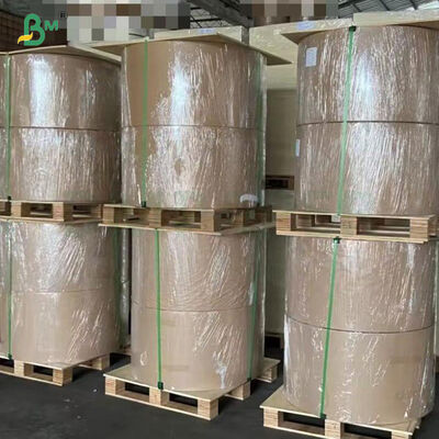 Αδιάβροχο, ανθεκτικό στον ήλιο χαρτί καλλιέργειας οπωρώνα 54g 56g για φρούτα