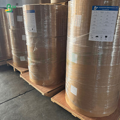 40g πολύχρωμο ανθεκτικό σε λιπαρά χαρτί για κουκούλες για κουκούλες για κουκούλες