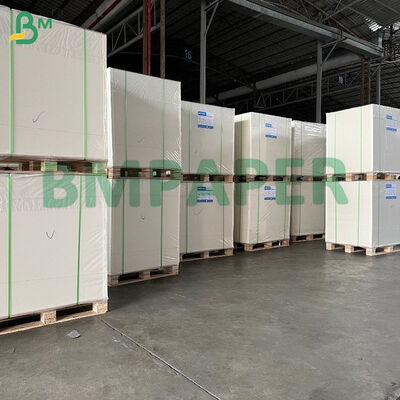 Papel Kraft con Recubrimiento de PE de Grado Alimenticio para Vasos de Bebidas Calientes, Tazones, Envases de Alimentos