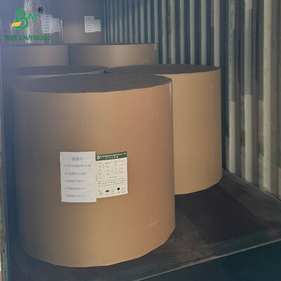 18PT 24PT PE Coated CCNB Paper Board για Κουτιά Συσκευασίας Κατεψυγμένων Τροφίμων