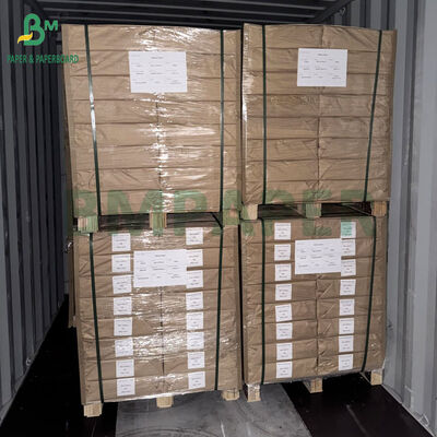 350gsm 400gsm Επίστρωση 1 πλευρά Θερμοδιαμορφώσιμη Λευκή Κονκάρδα για Συσκευασία Blister 70 x 100cm