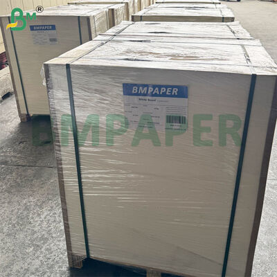 460gsm 0.8mm Χαρτόνι για Ποτήρια Μπύρας | Απορροφητικό Χαρτί Φύλλα 1200mm × 840mm