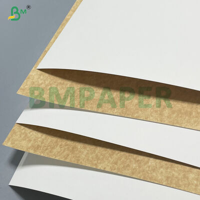 100% Vingin Wood Pulp 280gsm 300gsm Λευκό Επικαλυμμένο Χαρτόνι Kraft για Δοχεία Τροφίμων