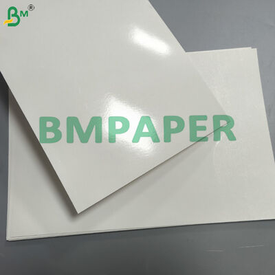 Oven Baking Food Container Paper Board PP Inner Lining, Freezer Microwave Safe Food Board