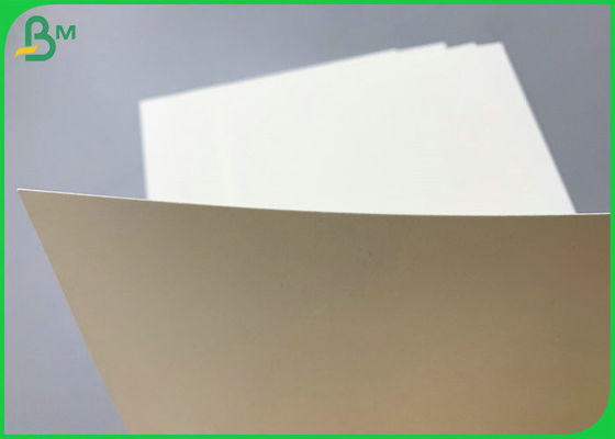 SGS πιστοποιημένο 230g 260g ντυμένο PE Cupstock έγγραφο 850mm βάσεων ρόλος