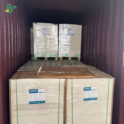 100% Vingin Wood Pulp 280gsm 300gsm Λευκό Επικαλυμμένο Χαρτόνι Kraft για Δοχεία Τροφίμων